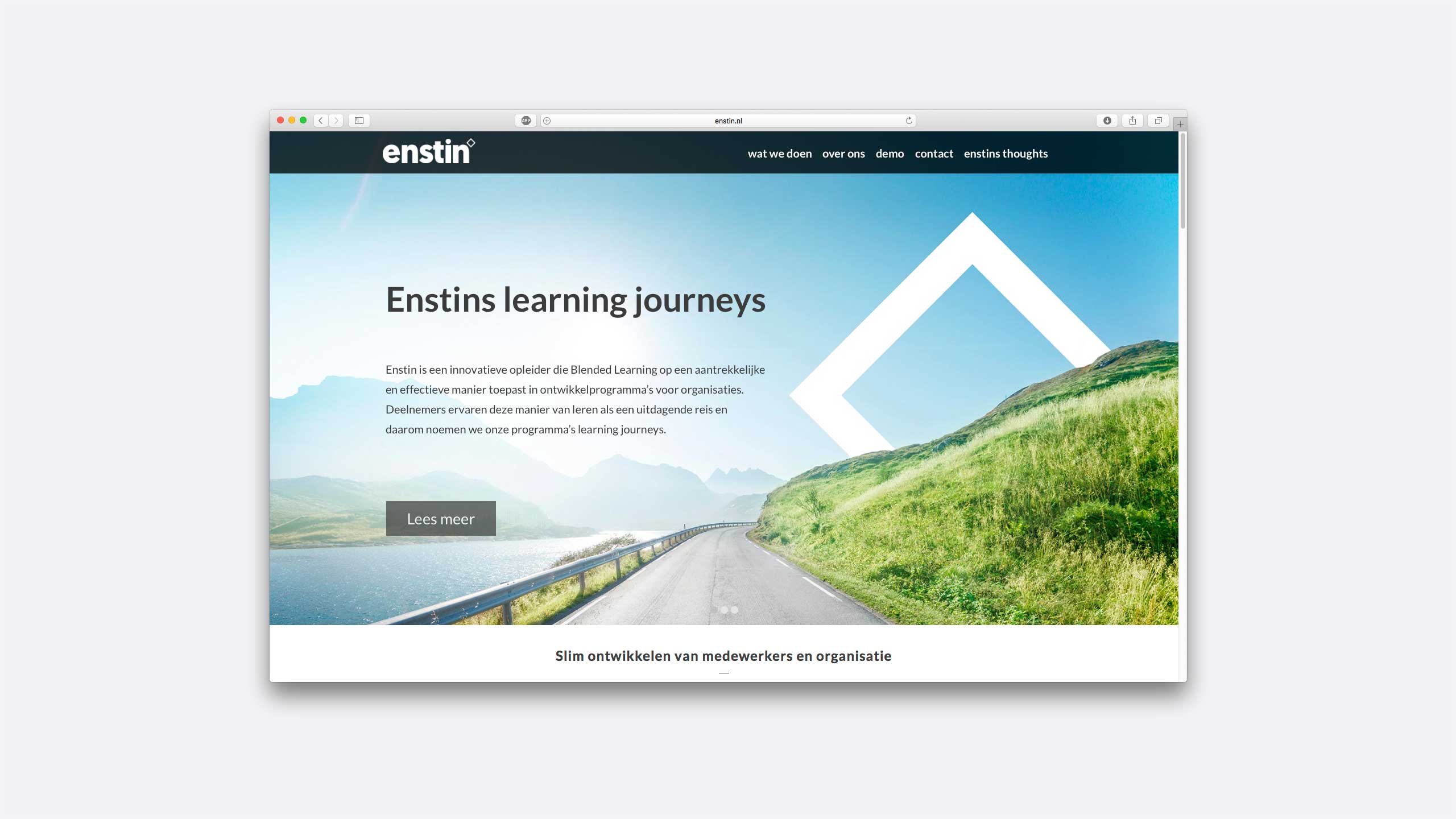Website Enstin